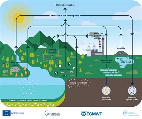 e methane|e methane production.